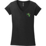 Florida Eels Softstyle Ladies Fit V-Neck T-Shirt