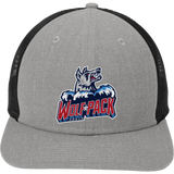 CT Wolfpack South New Era Snapback Low Profile Trucker Cap