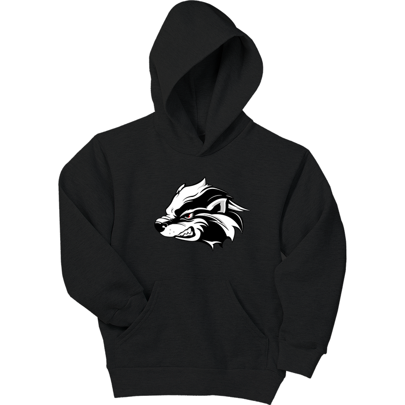 Allegheny Badgers Youth EcoSmart Pullover Hooded Sweatshirt